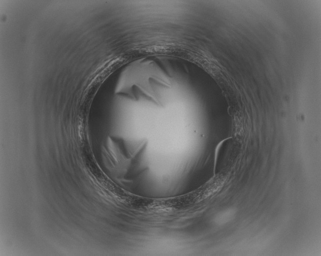X0000071810648200607211713