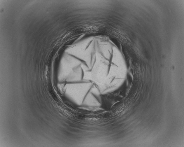 X0000071810649200607211713