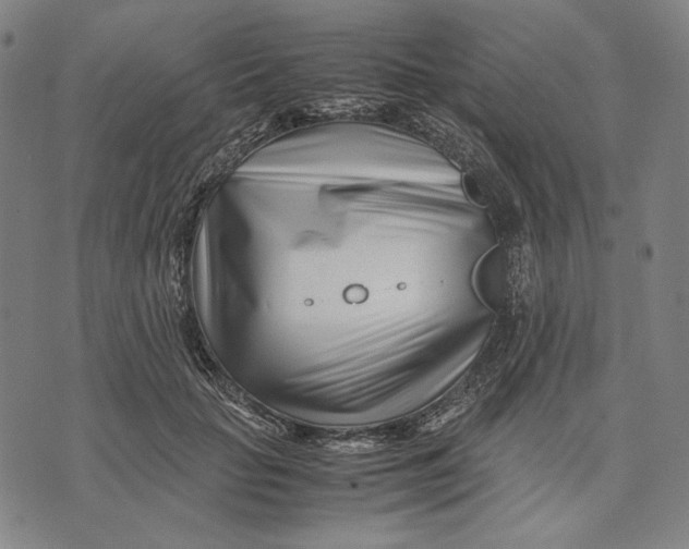 X0000071810653200607211713