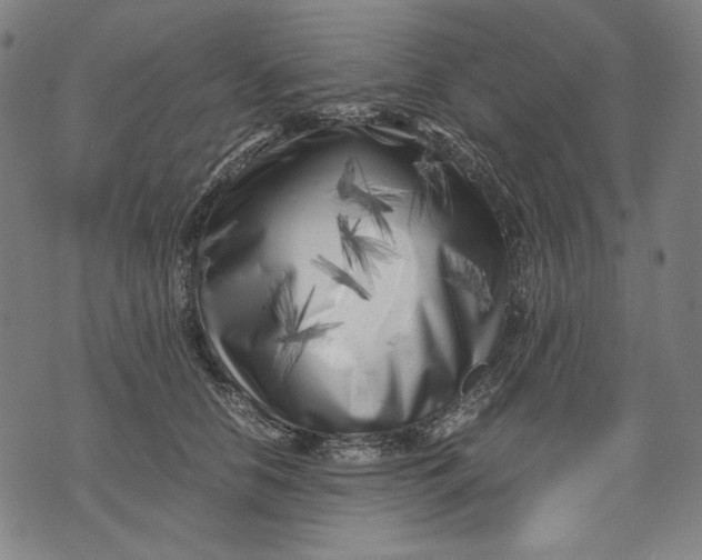 X0000071810658200607211713