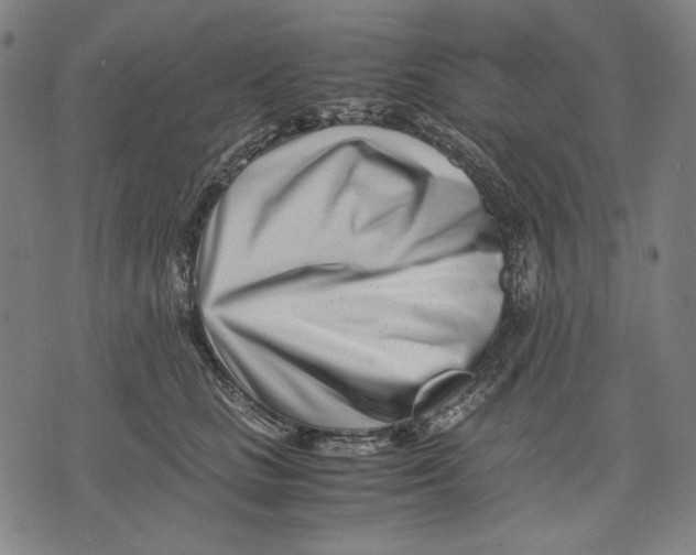 X0000071810661200607211713