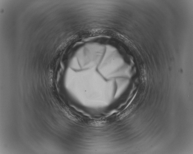 X0000071810664200607211713
