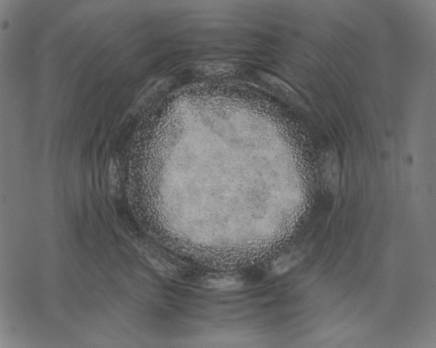 X0000071810667200607211713