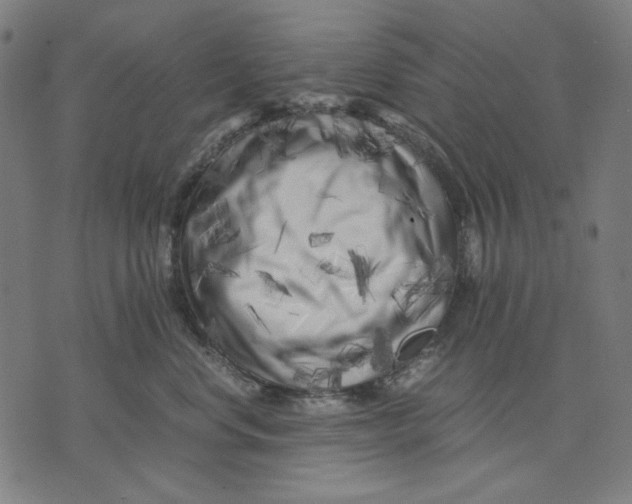 X0000071810668200607211713