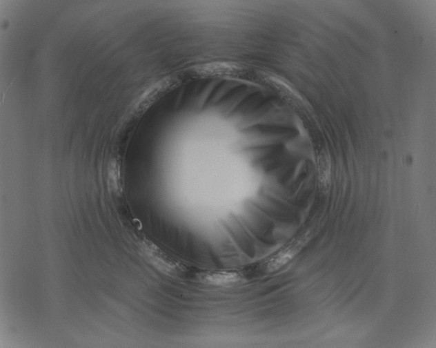 X0000071810669200607211713