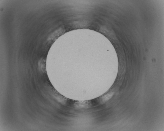 X0000071810672200607211713