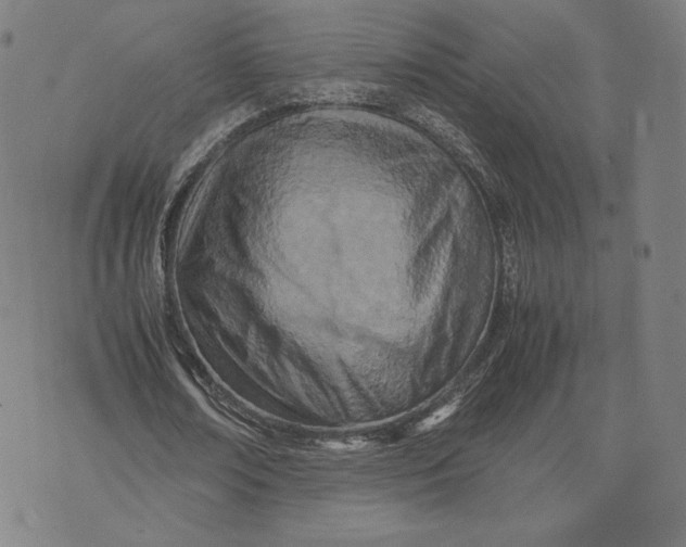 X0000071810674200607211712