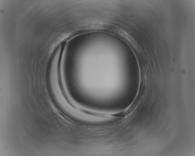 X0000071810677200607211712