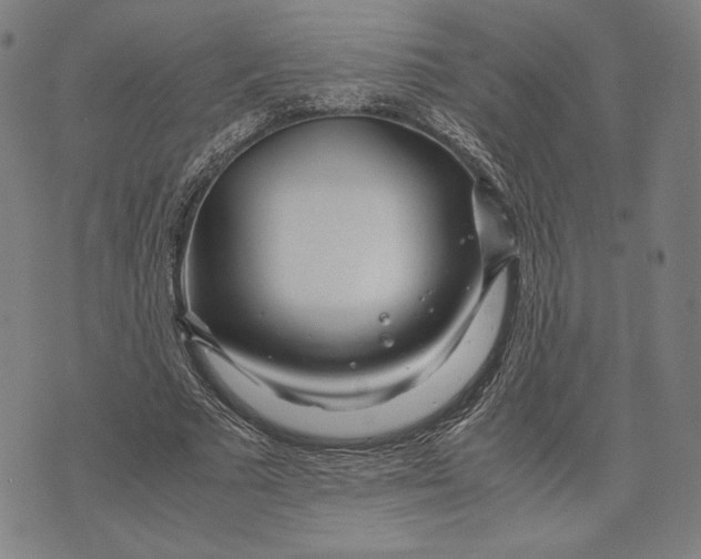 X0000071810681200607211712