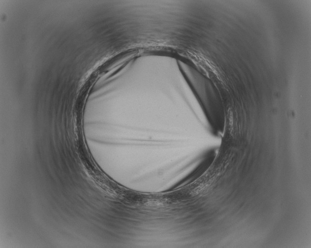 X0000071810684200607211712