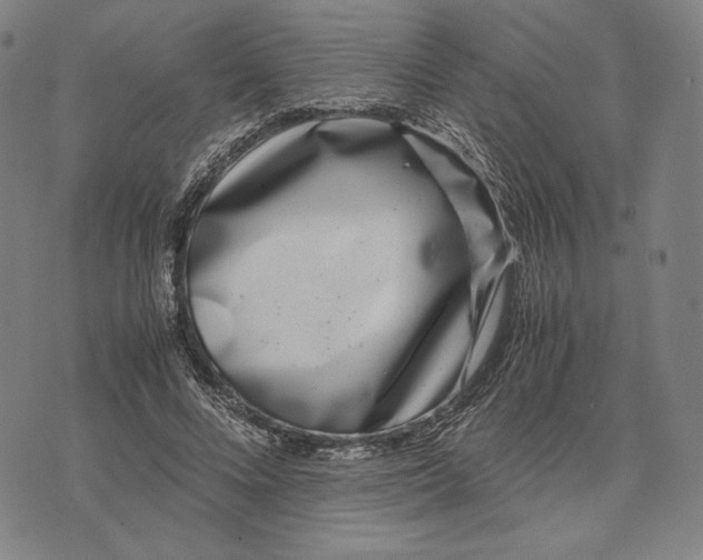 X0000071810688200607211712