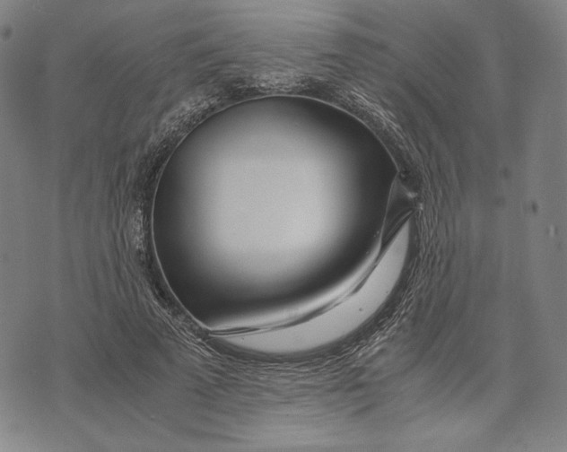 X0000071810689200607211712