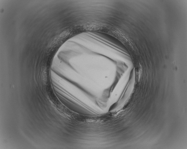 X0000071810690200607211712