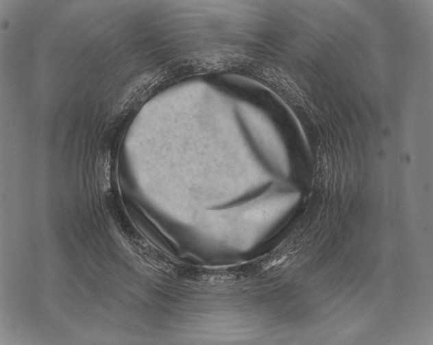 X0000071810694200607211712
