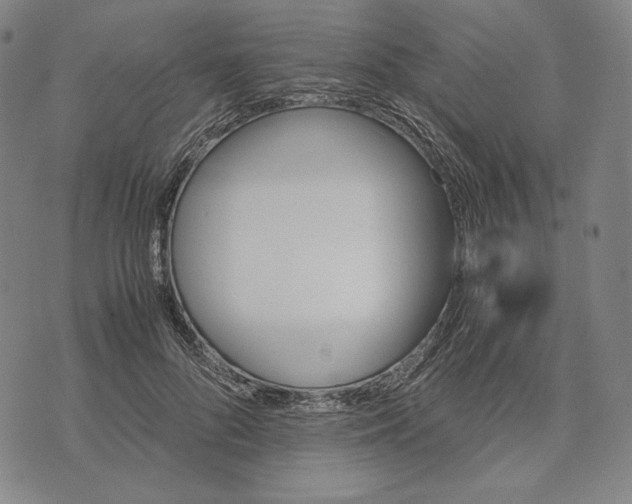X0000071810696200607211712