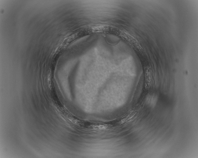 X0000071810698200607211712