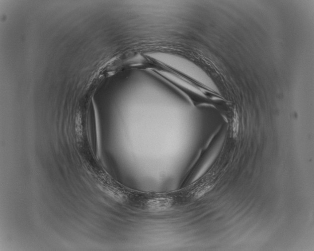 X0000071810700200607211712