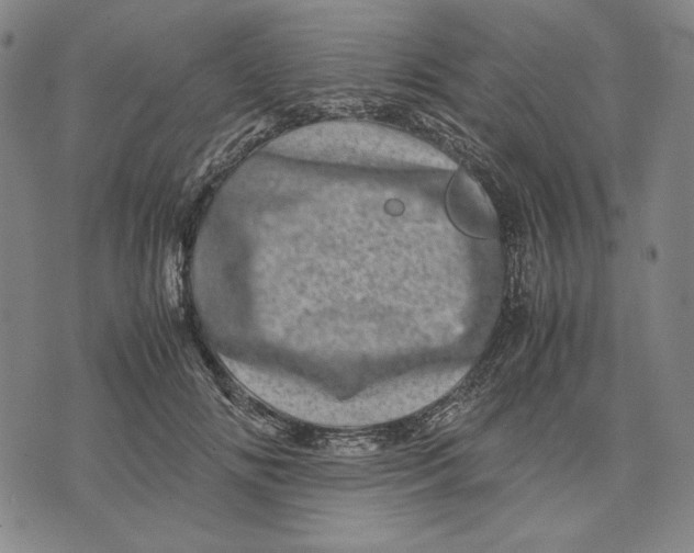 X0000071810702200607211712