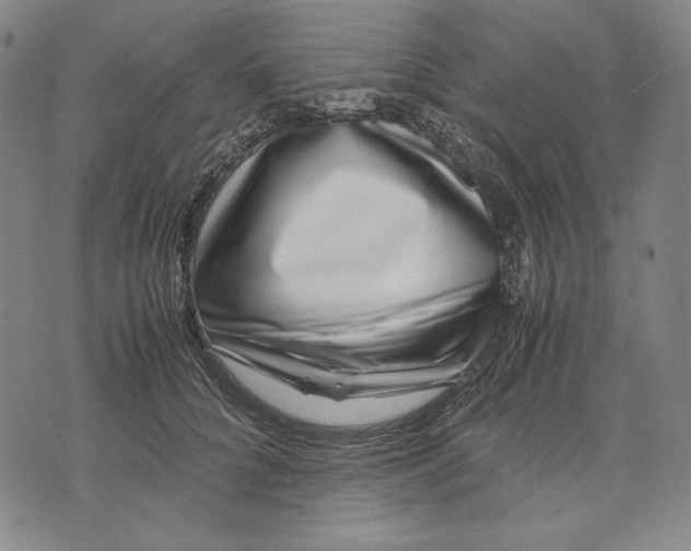 X0000071810704200607211712