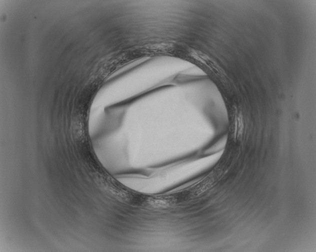X0000071810706200607211712