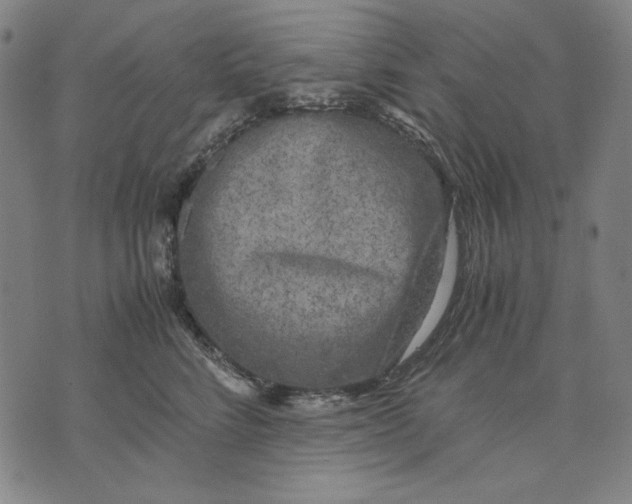 X0000071810712200607211712