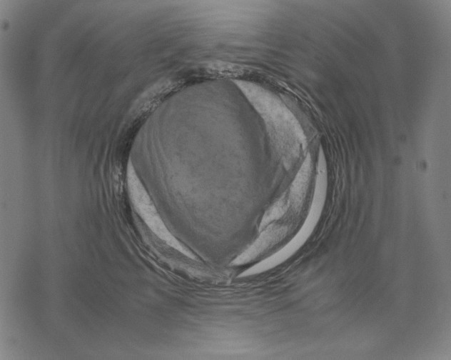 X0000071810713200607211712