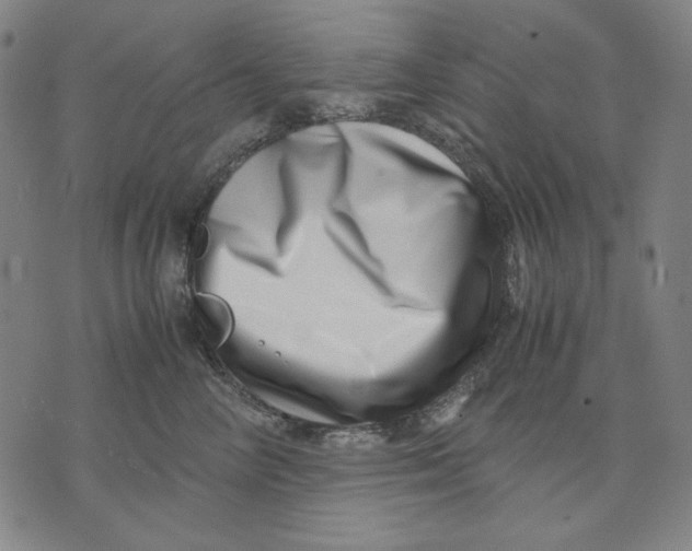 X0000071810714200607211712