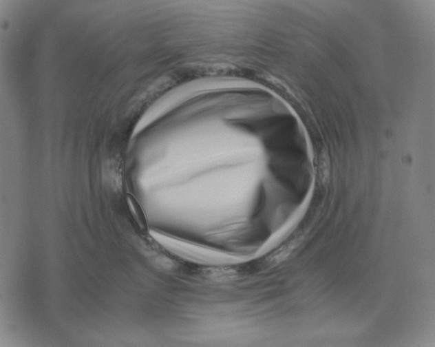 X0000071810719200607211712