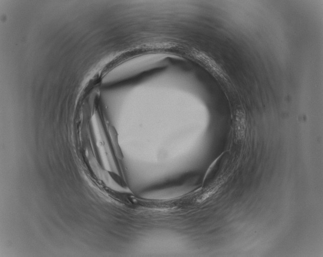 X0000071810726200607211711