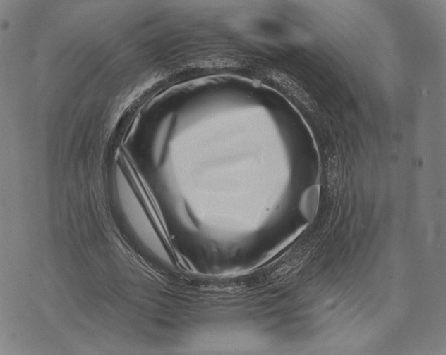 X0000071810727200607211711