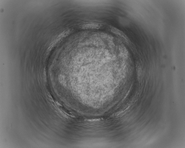 X0000071810729200607211711