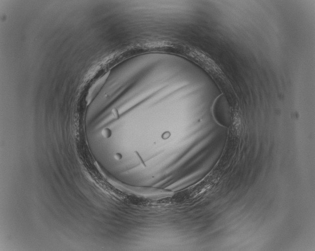 X0000071810732200607211711