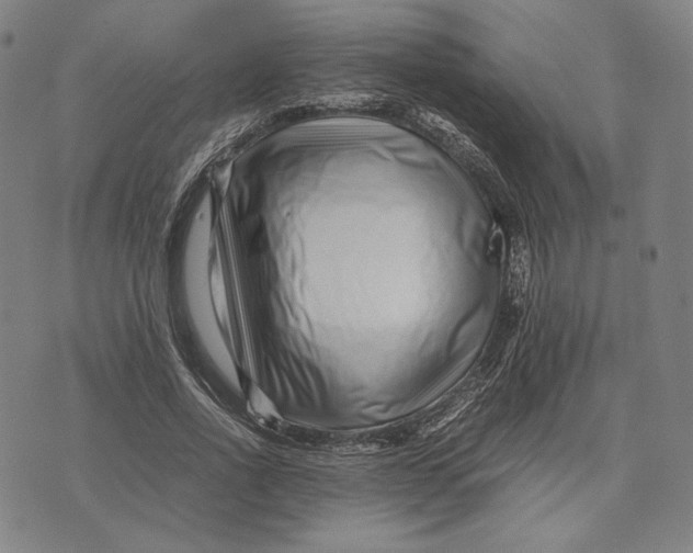 X0000071810734200607211711