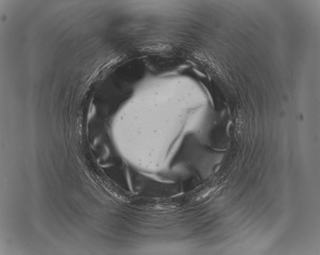 X0000071810739200607211711