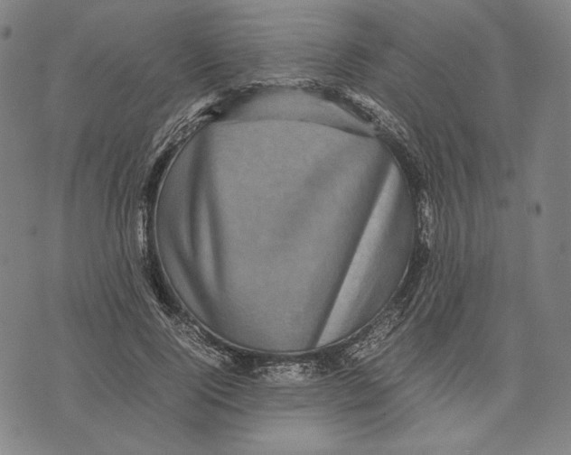 X0000071810740200607211711