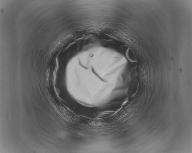 X0000071810742200607211711