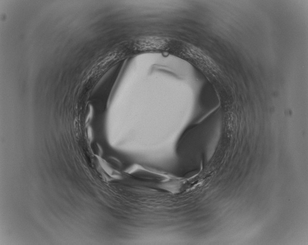 X0000071810743200607211711