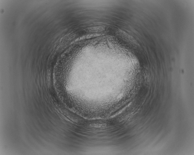 X0000071810745200607211711