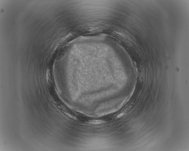 X0000071810748200607211711