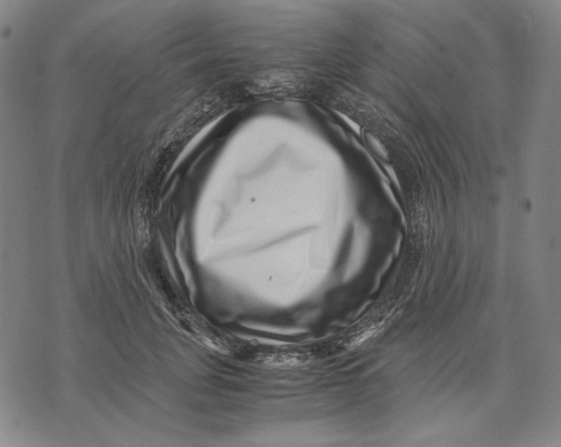 X0000071810751200607211711