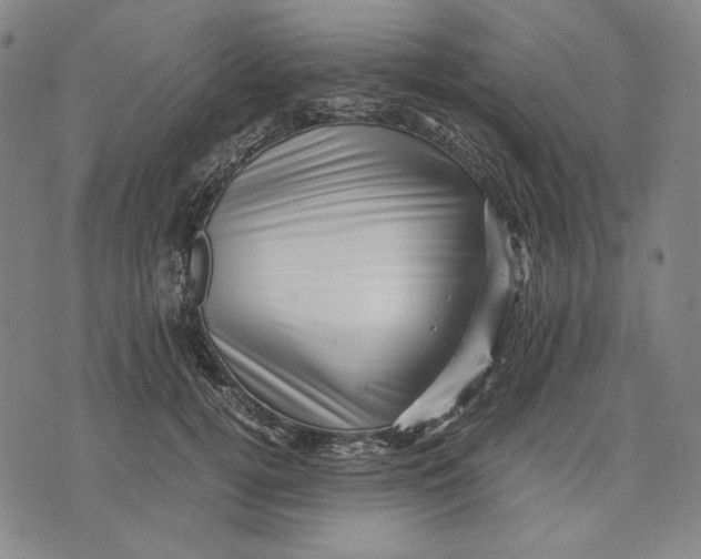 X0000071810752200607211711