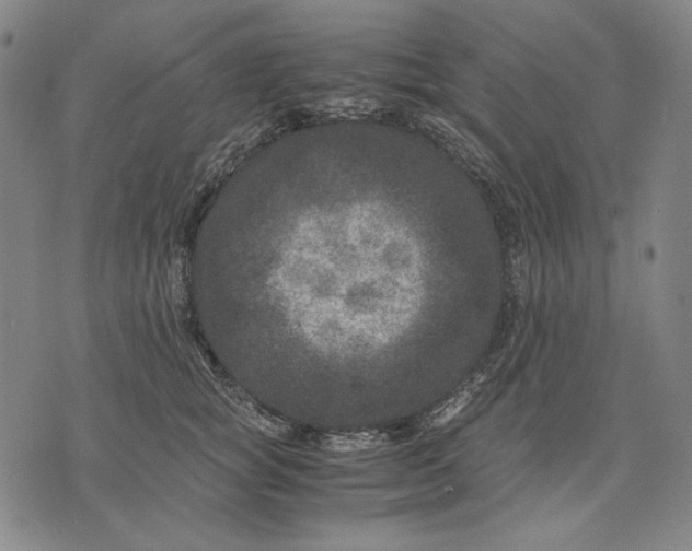 X0000071810757200607211711