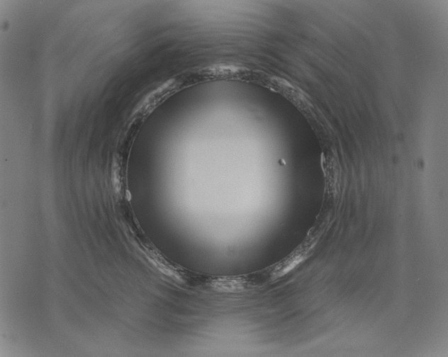 X0000071810762200607211711