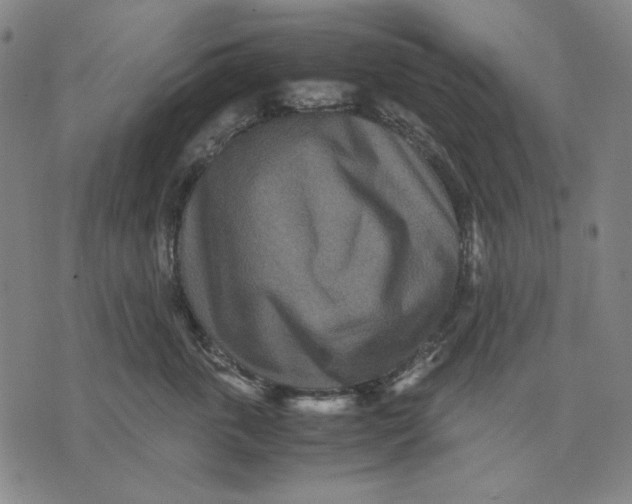 X0000071810763200607211711