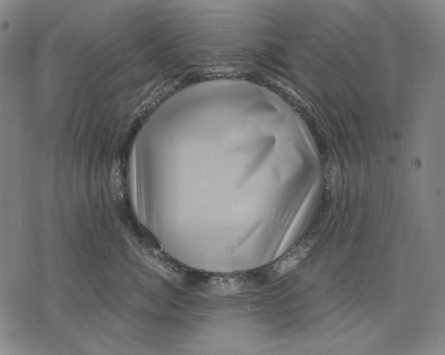 X0000071810764200607211712