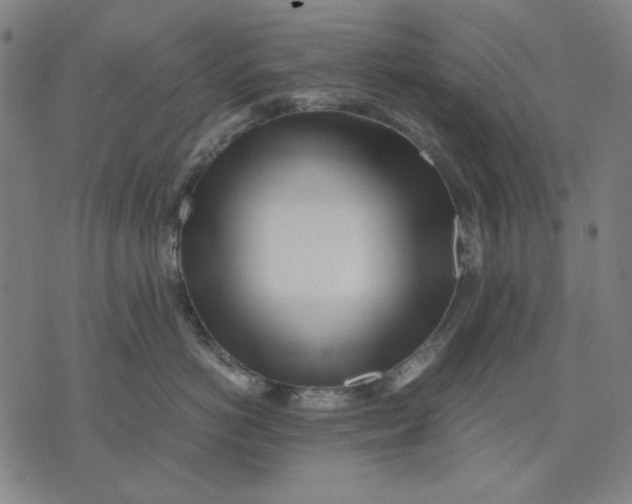 X0000071810766200607211712