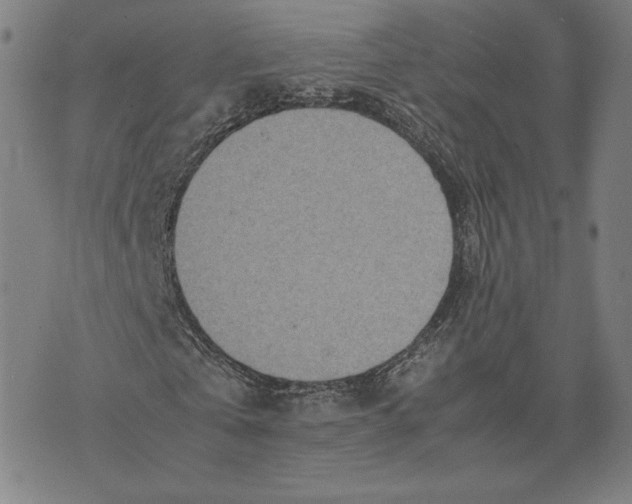 X0000071810769200607211711