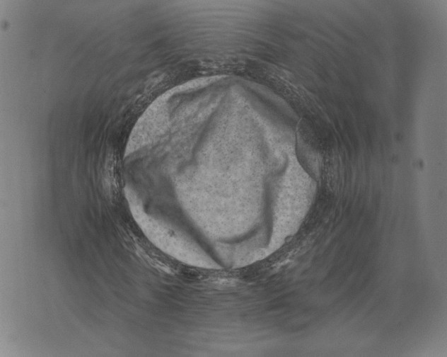 X0000071810770200607211711