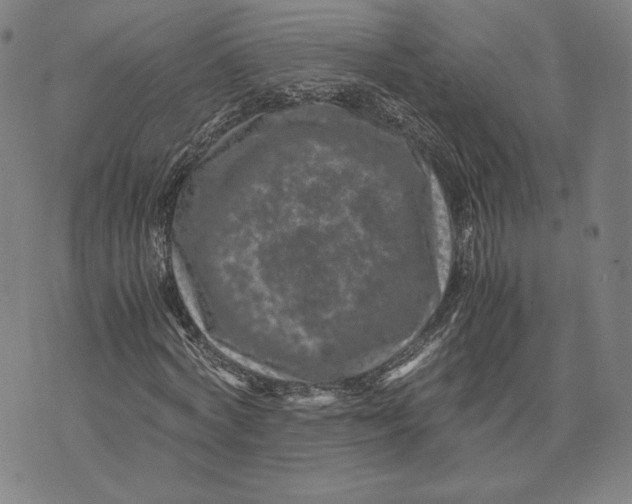 X0000071810772200607211711