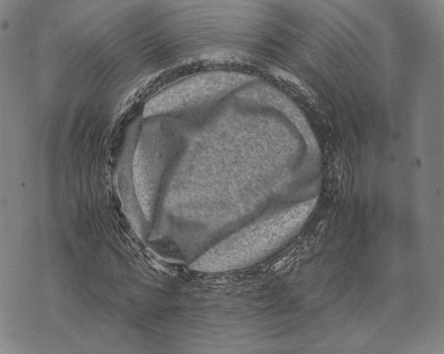 X0000071810776200607211711